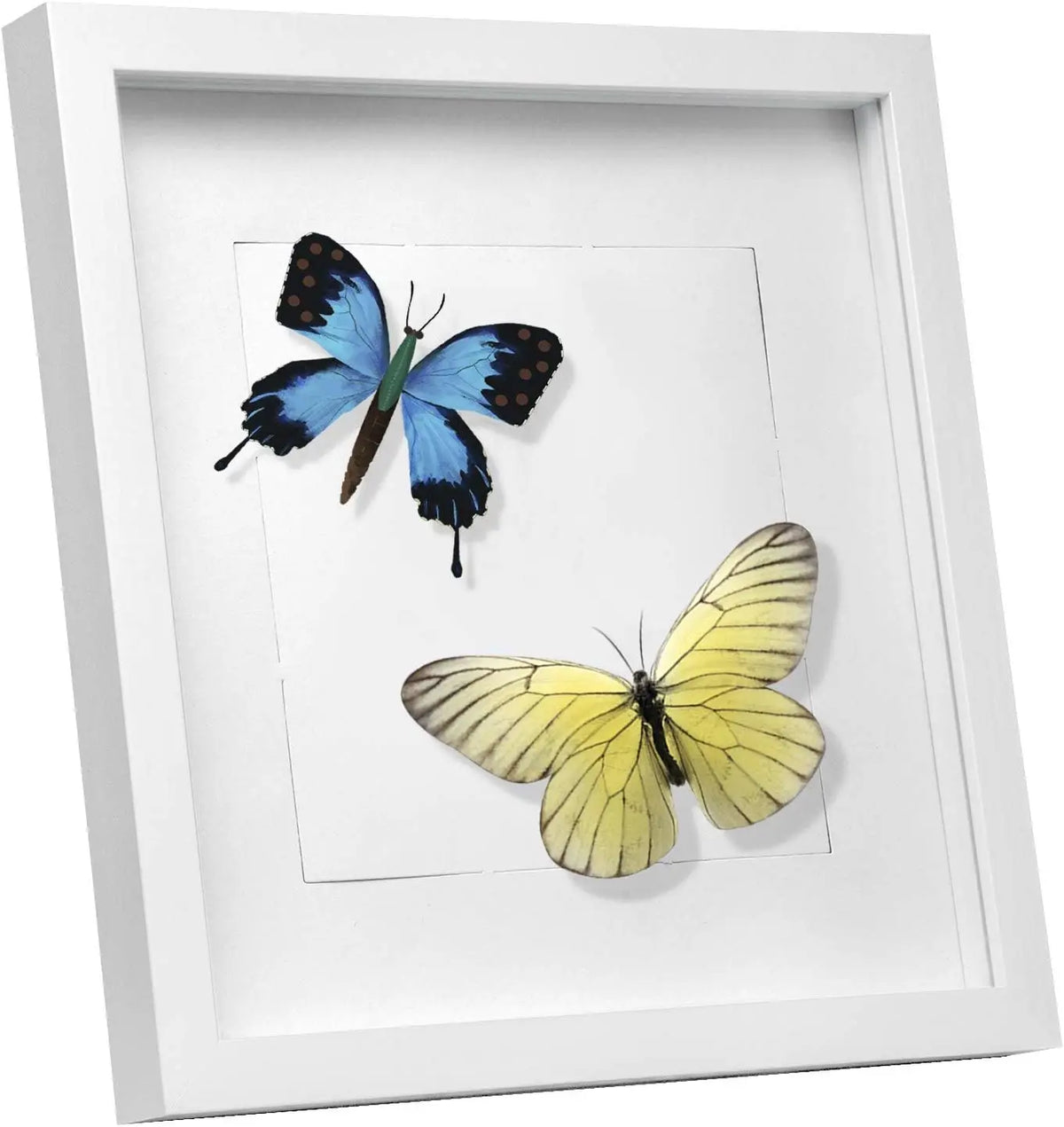EUGAD 3D Photo Frame Glass Wall Wooden Photo Frame with Mount Paper for Collage Decorative Wall Background