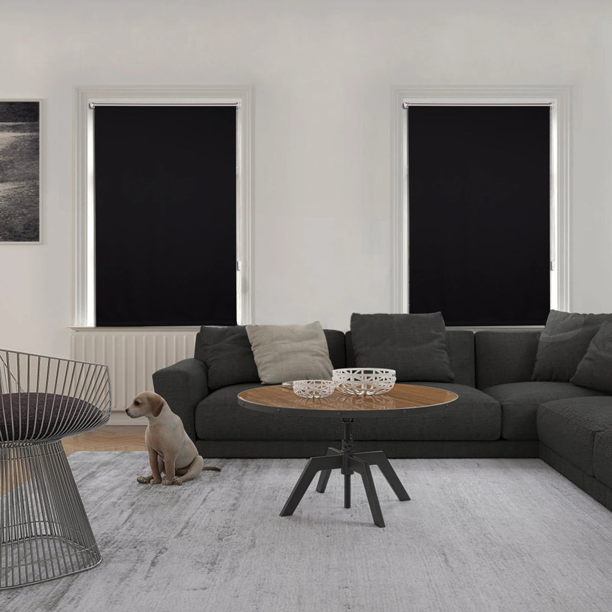 WOLTU Blackout Roller Blind Thermal Roller Blind No Drilling Required Side Pull Sun Protection Opaque Privacy for Windows Doors