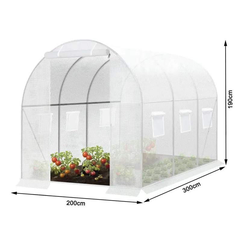 BukkitBow polytunnel tuinkas met deur en 6 ramen, winterproof tunnel voor groenteteelt, 300x200x190 cm, compacte tuinkas.