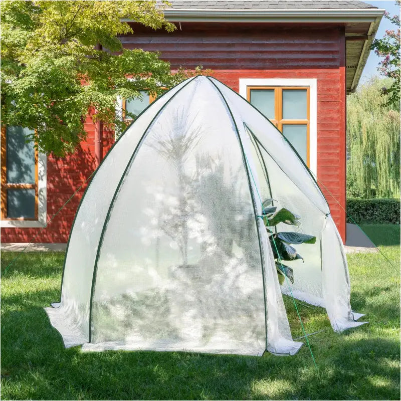BukkitBow polytunnel tuinkas voor groenten teelt, winterproof, compact met groot luik en raam, afmetingen 240x240x200 cm