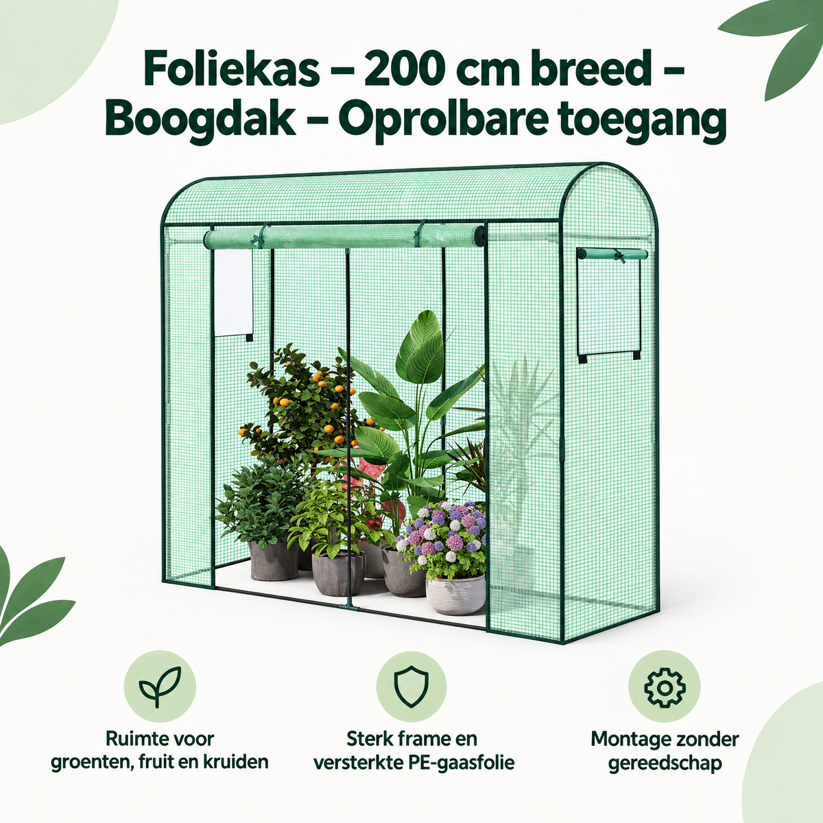 Overzicht van foliekas met de belangrijkste productvoordelen