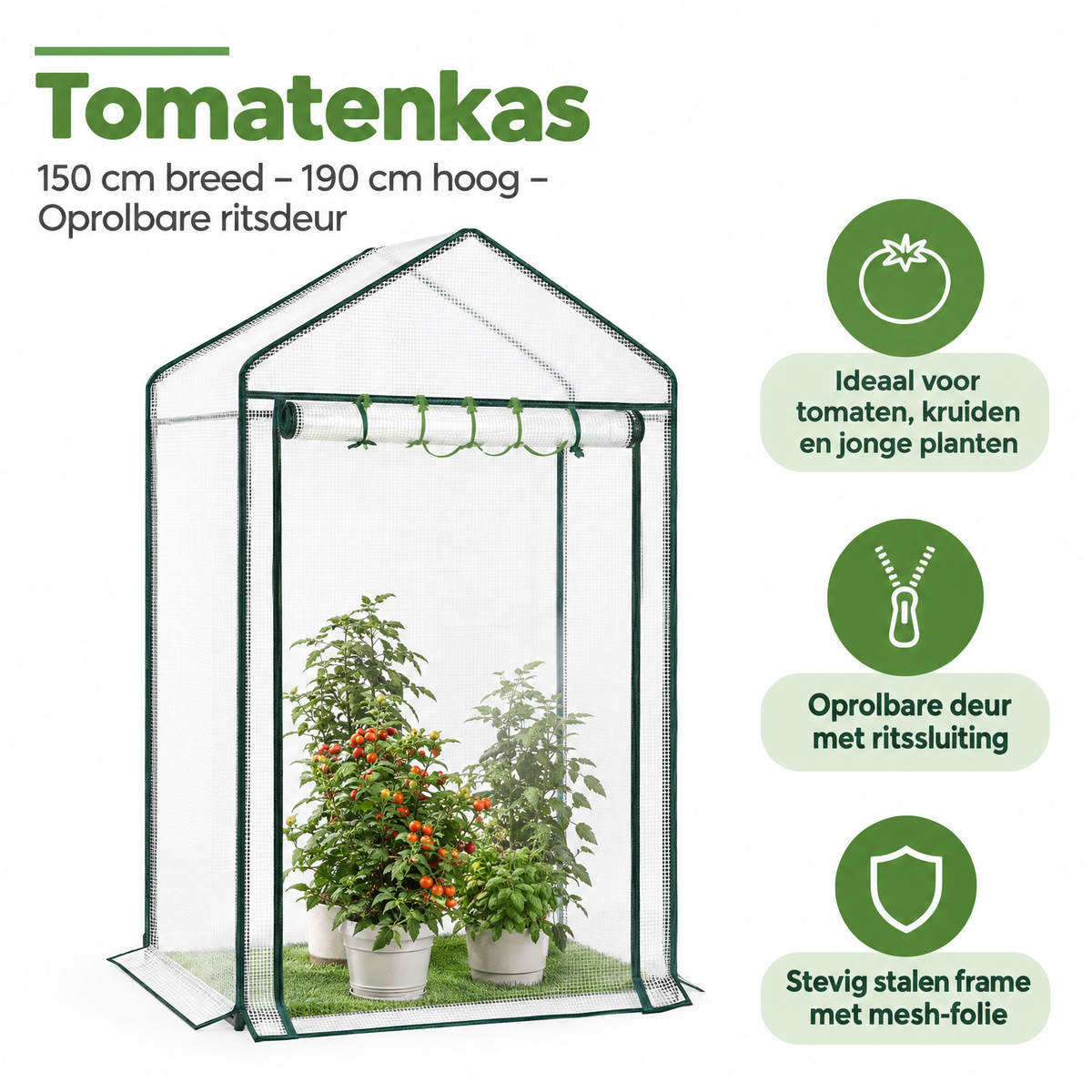 Belangrijkste voordelen en eigenschappen van tomatenkas