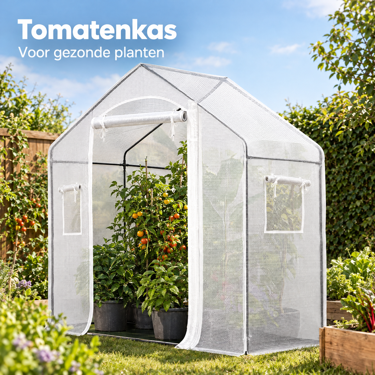 tomatenkas in gebruik in een passende praktijksituatie