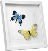EUGAD 3D Photo Frame Glass Wall Wooden Photo Frame with Mount Paper for Collage Decorative Wall Background
