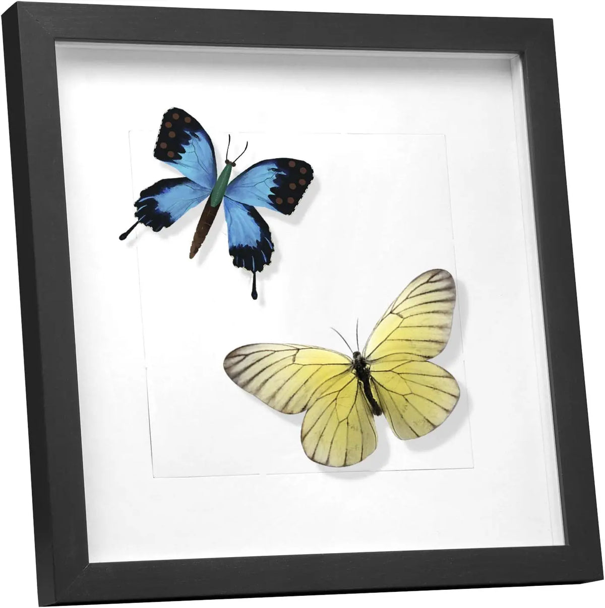 EUGAD 3D Photo Frame Glass Wall Wooden Photo Frame with Mount Paper for Collage Decorative Wall Background