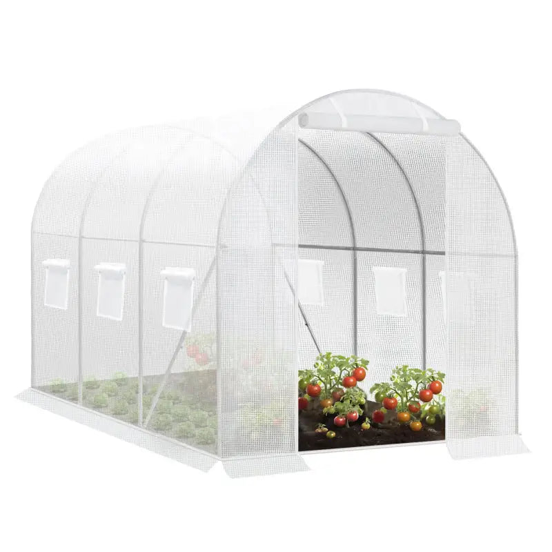 BukkitBow polytunnel tuinkas voor groenten, winterproof met deur en 6 ramen, 300x200x190 cm, compacte tuin kas.