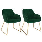 Set van 2 BukkitBow fluweel eettafelstoelen met gouden metalen poten, comfortabele zithoogte van 48,5 cm, stijlvolle eettafelstoelen.