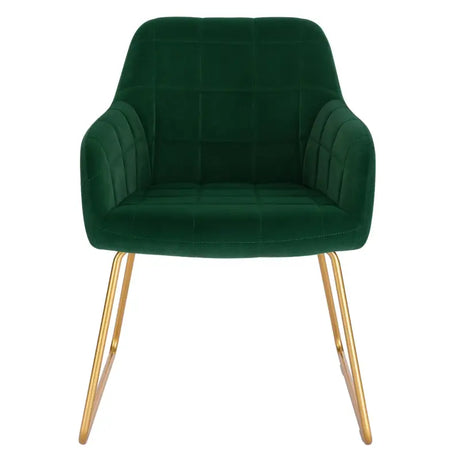 Set van 2 BukkitBow fluwelen eetkamerstoelen met gouden metalen poten, stijlvolle en comfortabele stoelen, zithoogte 48,5 cm.