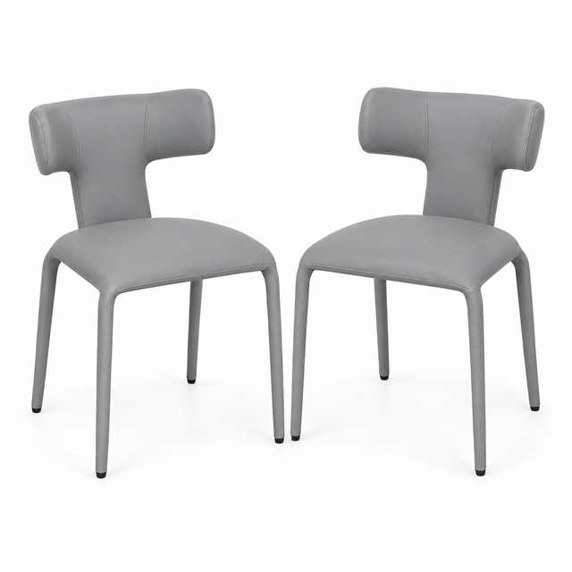 eetkamerstoelen set van 2 productfoto op neutrale achtergrond