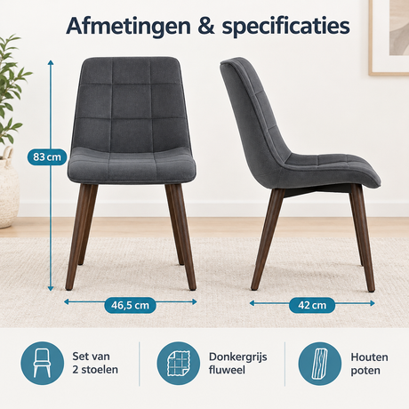 Afmetingen en productspecificaties van eetkamerstoelen set van 2