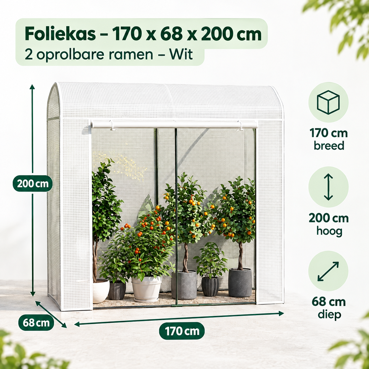 Afmetingen en productspecificaties van foliekas