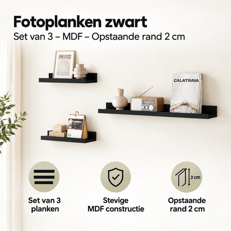 Belangrijkste voordelen en eigenschappen van fotoplanken zwart