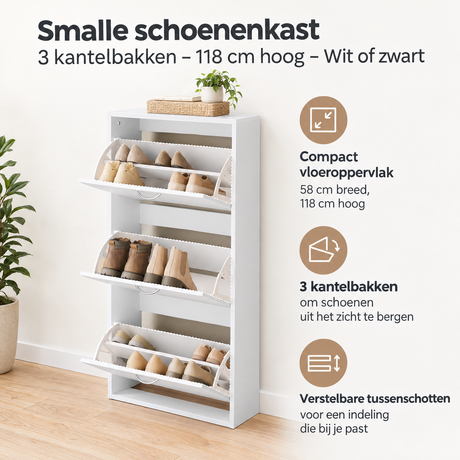Belangrijkste voordelen en eigenschappen van smalle schoenenkast