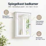 Belangrijkste voordelen en eigenschappen van spiegelkast badkamer