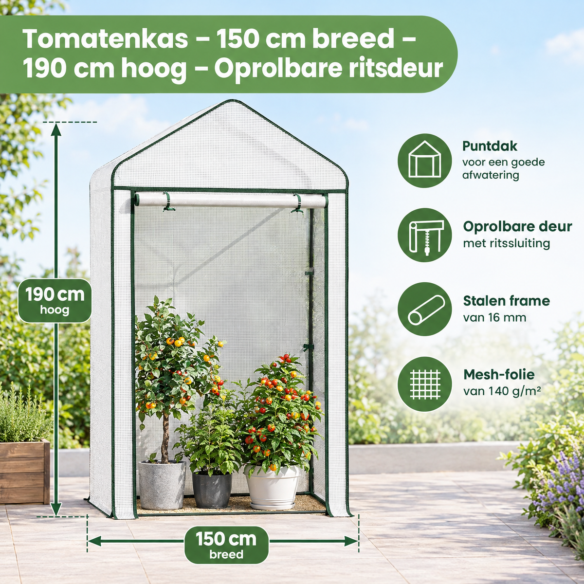 Afmetingen en productspecificaties van tomatenkas